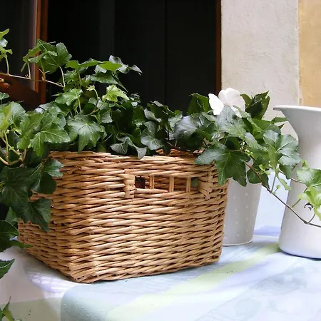 Bed & Breakfast B&B Borgo Re Teodorico 2*