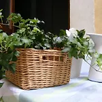 Bed & Breakfast Borgo Re Teodorico 3*